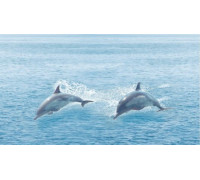 Декор Ceradim Ocean 25x45 см КВС16Ocean