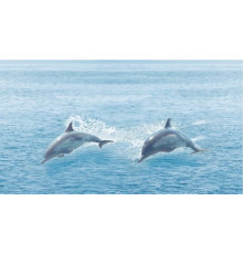 Декор Ceradim Ocean 25x45 см КВС16Ocean