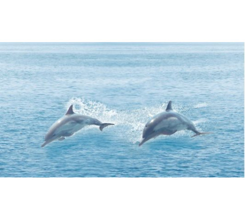 Декор Ceradim Ocean 25x45 см КВС16Ocean