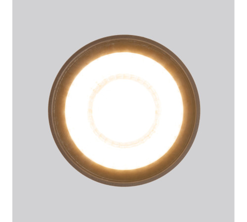 Уличный потолочный светильник Light LED 2105 IP54 35132/H черный