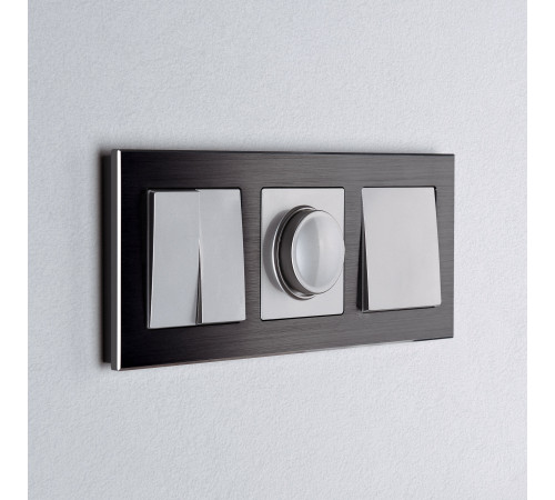 W1110006/ Выключатель одноклавишный (серебряный) W1110006