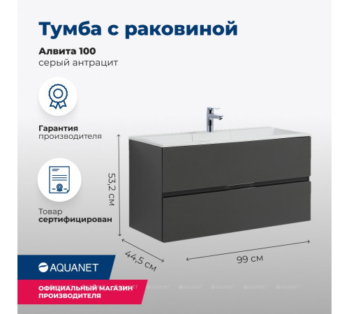 Тумба с раковиной Aquanet Алвита 100 серый антрацит 00242608