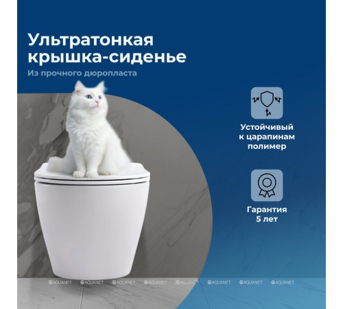 Унитаз подвесной Aquanet Cetus 2.0 W Rimless сиденье Slim Soft Close Cetus 2.0 W
