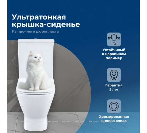 Чаша напольного унитаза Aquanet Fine-C Rimless с сиденьем Soft Close Slimseat FINE-C