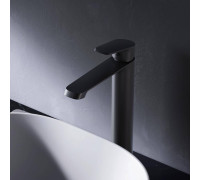 Смеситель для раковины высокий AM.PM Func черный матовый F8F92022