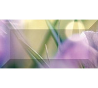 Бордюр рельефный Ceramica Classic Crocus 20х10 см br1020D286-1