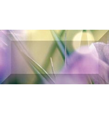 Бордюр рельефный Ceramica Classic Crocus 20х10 см br1020D286-1