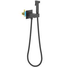 Комплект для гигиенического душа встроенный Aquanet Lira смеситель, лейка, шланг, матовый черный AQ1025MB