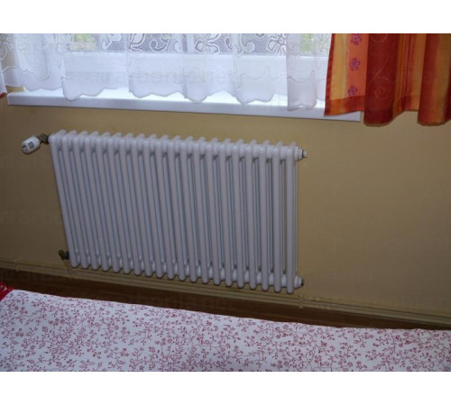 Трубчатый радиатор Arbonia 3057 10 секций боковое подключение 3057/10 N12 3/4 RAL 9016