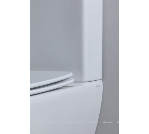 Чаша напольного унитаза Aquanet Fine-C Rimless с сиденьем Soft Close Slimseat FINE-C
