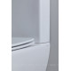 Чаша напольного унитаза Aquanet Fine-C Rimless с сиденьем Soft Close Slimseat FINE-C