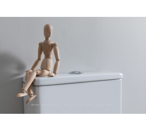 Чаша напольного унитаза Aquanet Fine-C Rimless с сиденьем Soft Close Slimseat FINE-C