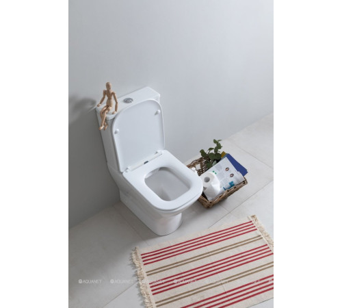 Чаша напольного унитаза Aquanet Fine-C Rimless с сиденьем Soft Close Slimseat FINE-C