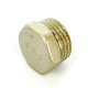 Заглушка LD Pride латунная никелированная 1/2 наружная резьба LD.67.505.15