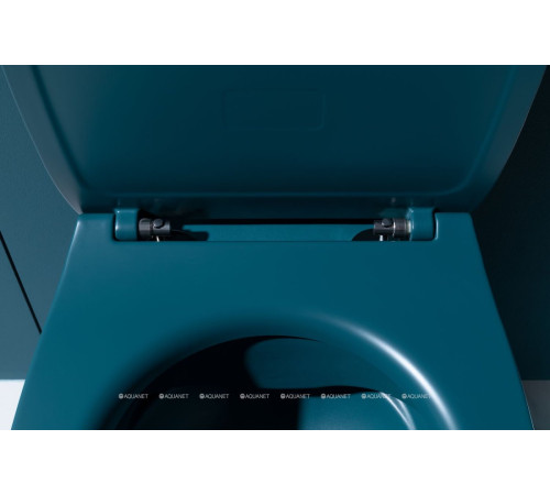 Сиденье для унитаза Allen Brau Fantasy Smartfix Soft-Close дюропласт петроль 4.11005.PT