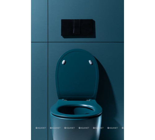 Сиденье для унитаза Allen Brau Fantasy Smartfix Soft-Close дюропласт петроль 4.11005.PT