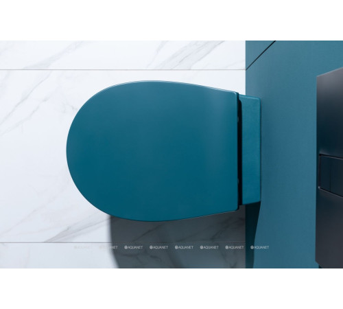 Сиденье для унитаза Allen Brau Fantasy Smartfix Soft-Close дюропласт петроль 4.11005.PT