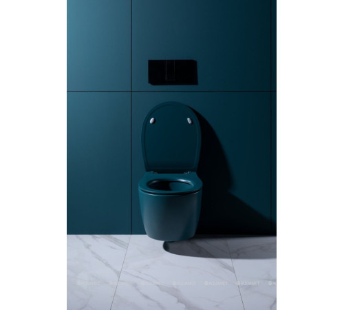 Сиденье для унитаза Allen Brau Fantasy Smartfix Soft-Close дюропласт петроль 4.11005.PT