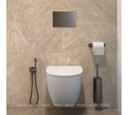 Смеситель с гигиеническим душем Allen Brau Priority 3.0 графит браш 5.31A29-MG