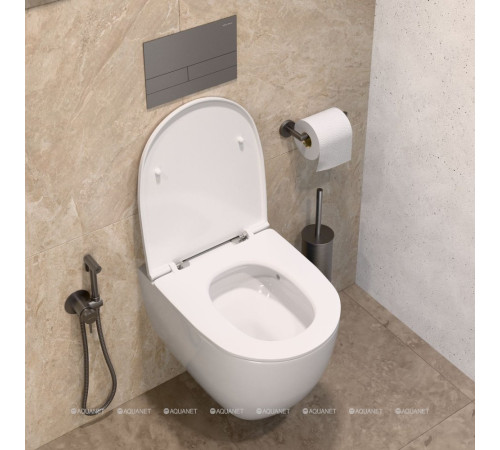 Смеситель с гигиеническим душем Allen Brau Priority 3.0 графит браш 5.31A29-MG