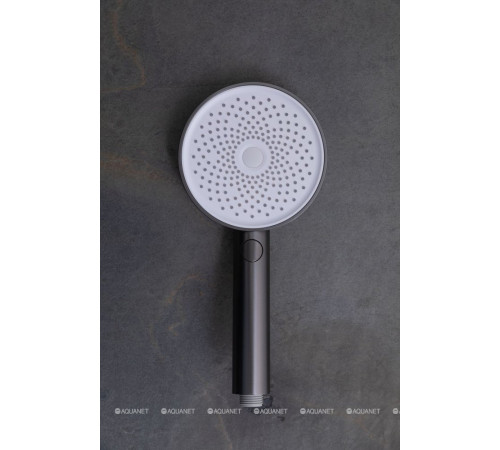 Ручной душ Allen Brau Priority 3.0 130 мм 3 режима графит браш 5.31B20-MG