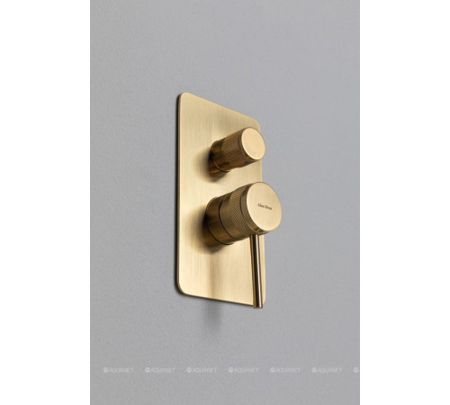 Смеситель встраиваемый Allen Brau Priority X3 на 3 выхода золото 5.31A11-GB