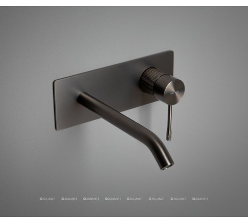 Смеситель для умывальника Allen Brau Priority 4.0 встраиваемый прямоугольный графит браш 5.31D03-MG