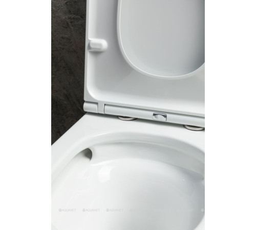 Чаша для унитаза напольного Allen Brau Priority Tornado 680x365 мм белый 4.31006.20