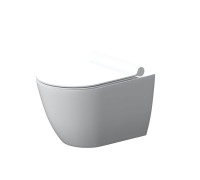 Унитаз подвесной безободковый AM.PM Apollo с сиденьем микролифт DX22C1700SC