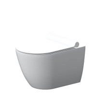 Унитаз подвесной безободковый AM.PM Apollo с сиденьем микролифт DX22C1700SC