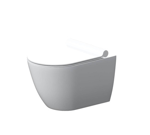 Унитаз подвесной безободковый AM.PM Apollo с сиденьем микролифт DX22C1700SC