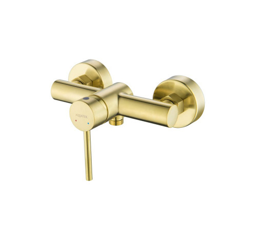 Смеситель для душа Aquanet Европа шлифованное золото AQ1360BG