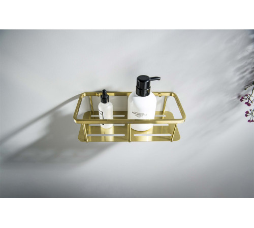 Полка для душа Aquanet AQ4936BG шлифованное золото AQ4936BG