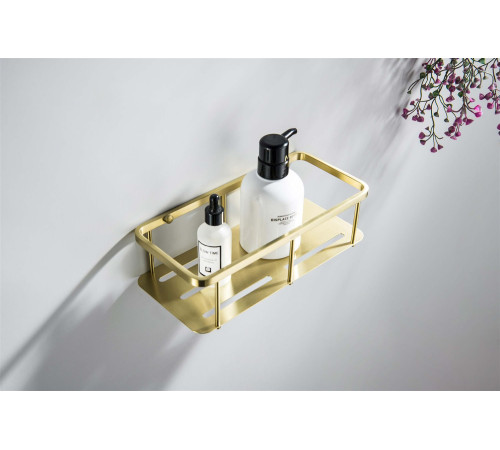 Полка для душа Aquanet AQ4936BG шлифованное золото AQ4936BG