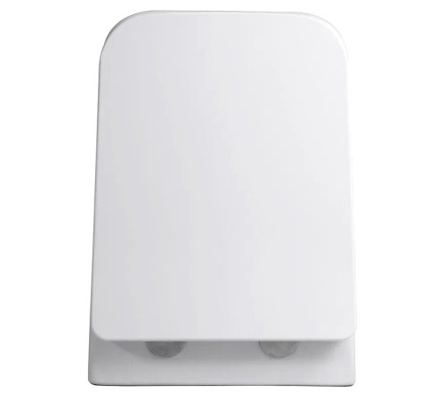 Сиденье для унитаза Aquanet Амадео AQ0101-00