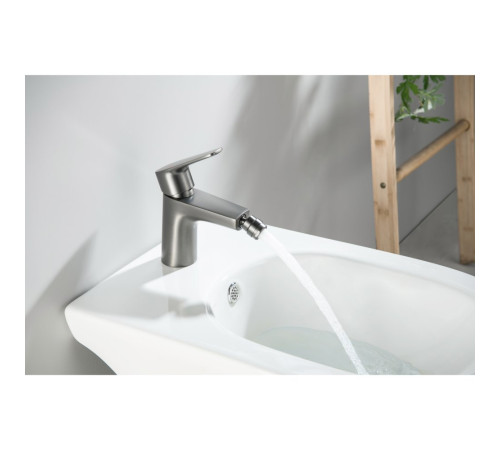 Смеситель для биде AQUATEK БЕТТА оружейная сталь AQ1118BGM