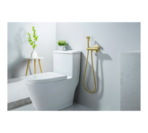 Комплект для гигиенического душа термостатический встроенный Aquanet Oberon смеситель, лейка, шланг, шлифованное золото AQ1027BG