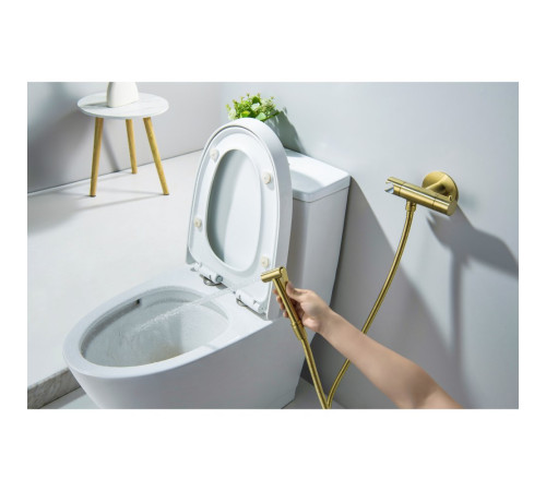 Комплект для гигиенического душа термостатический встроенный Aquanet Oberon смеситель, лейка, шланг, шлифованное золото AQ1027BG