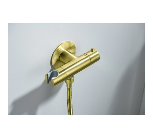 Комплект для гигиенического душа термостатический встроенный Aquanet Oberon смеситель, лейка, шланг, шлифованное золото AQ1027BG