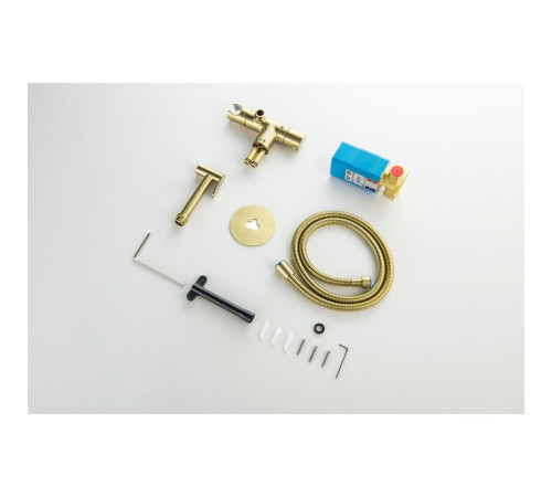 Комплект для гигиенического душа термостатический встроенный Aquanet Oberon смеситель, лейка, шланг, шлифованное золото AQ1027BG