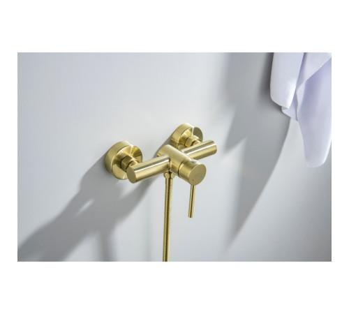 Смеситель для душа Aquanet Европа шлифованное золото AQ1360BG