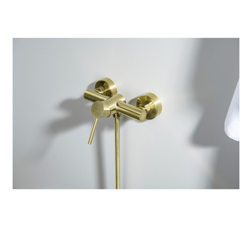 Смеситель для душа Aquanet Европа шлифованное золото AQ1360BG