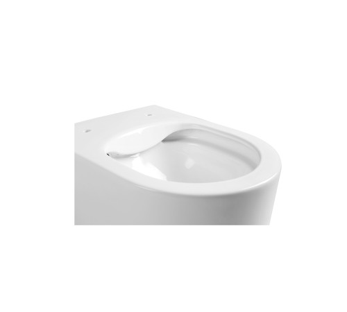 Унитаз подвесной Aquanet Мия безободковый с сиденьем микролифт 490х370х340 мм AQ2004-00