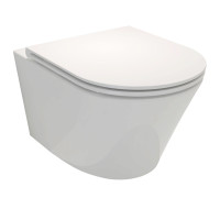 Унитаз подвесной безободковый Jacob Delafon Rodin+ EDY102-00