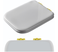 Сиденье для унитаза Kerasan Waldorf с микролифтом белый/золото 418701