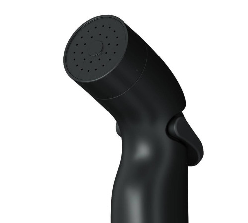 Гигиенический душ со шлангом и держателем AM.PM Like черный матовый F0202022