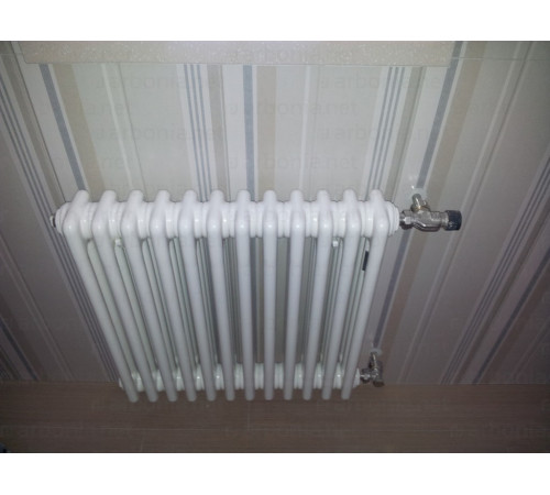 Трубчатый радиатор Arbonia 3050 28 секций боковое подключение 3050/28 N12 3/4 RAL 9016