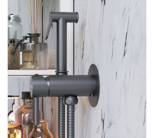 Смеситель с гигиеническим душем Damixa Space настенный черный матовый 217000000