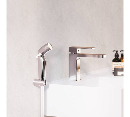 Смеситель для раковины AM.PM Gala с гигиеническим душем F530300000