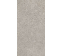 Керамогранит Kerama Marazzi Риккарди серый светлый матовый обрезной 60x119.5 см SG519920R